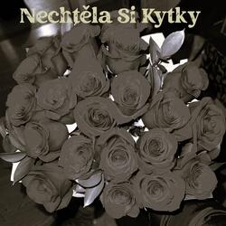 Nechtěla Si Kytky