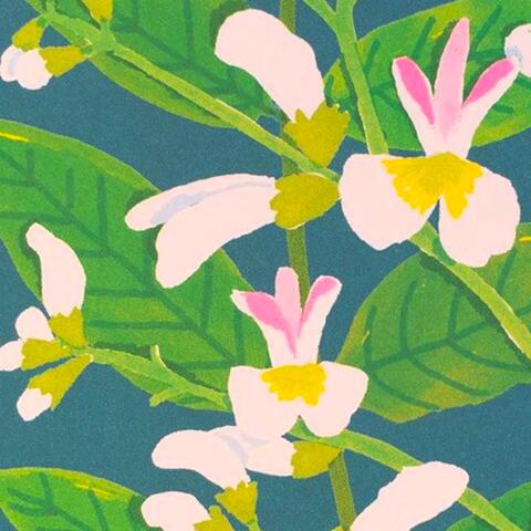blossom season.