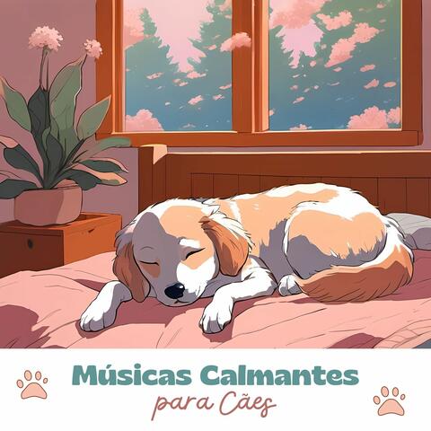 Músicas Calmantes para Cães: Melodias Relaxantes para Promover o Sono e Bem-Estar do seu Pet
