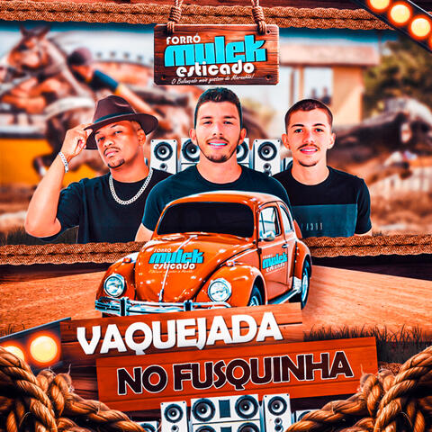 Vaquejada no Fusquinha