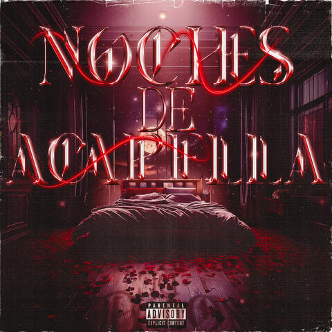 Noches de Acapella