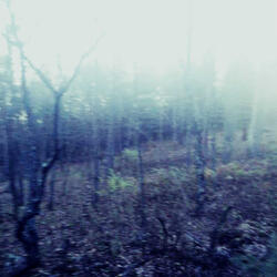 Despair Time - Slowed