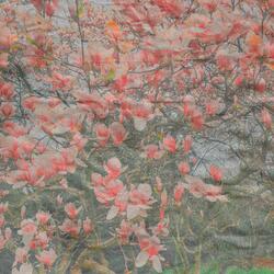 You Got Me Fucked Up