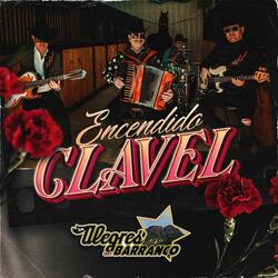 Encendido Clavel