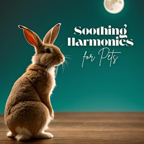 Soothing Harmonies for Pets: Ultimate Zen Bunny Relaxation Soundtrack