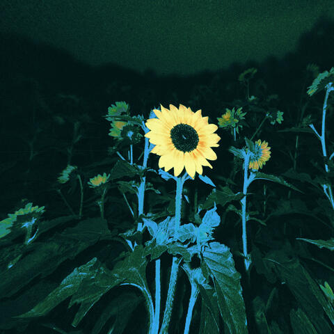 Too Young To Be This Sad