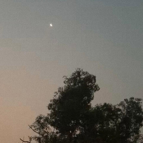 Lost in Goa