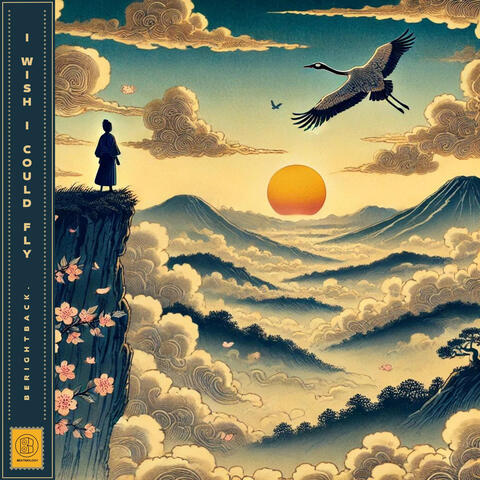 I Wish I Could Fly