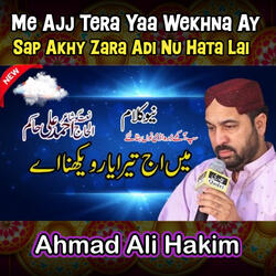 Sap Akhy Zara Adi Nu Hata Lai