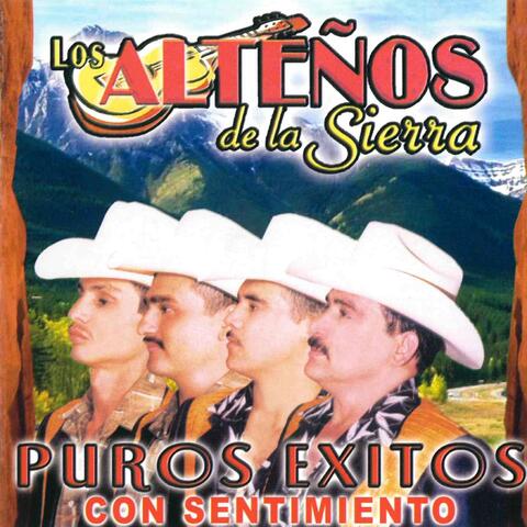 Puros Exitos Con Sentimiento