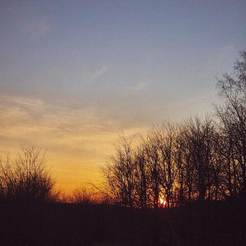 tree line