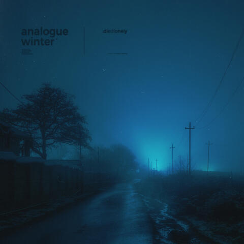 analogue winter (Remixes)