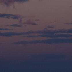 stars fell where we walked