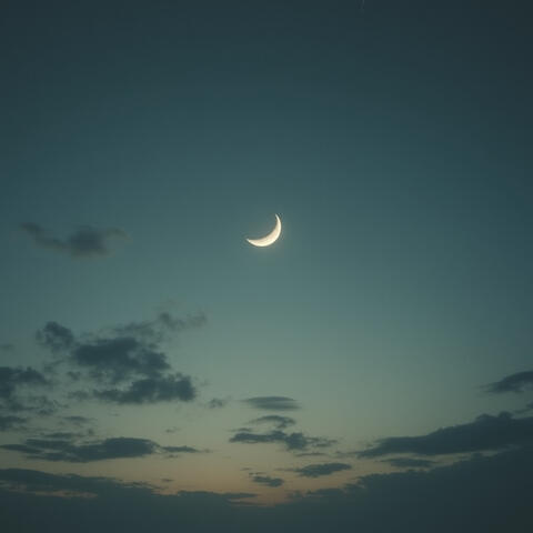 when the sun sleeps