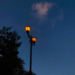 before the night falls