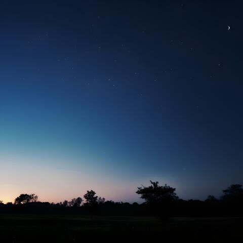 under the moon