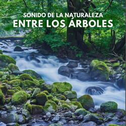 Sonido de la Naturaleza: Entre los Árboles (30)