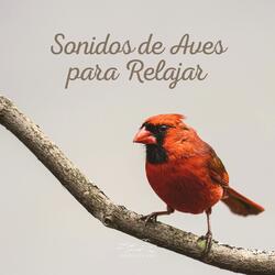 Sonidos de Aves para Relajar (P16)