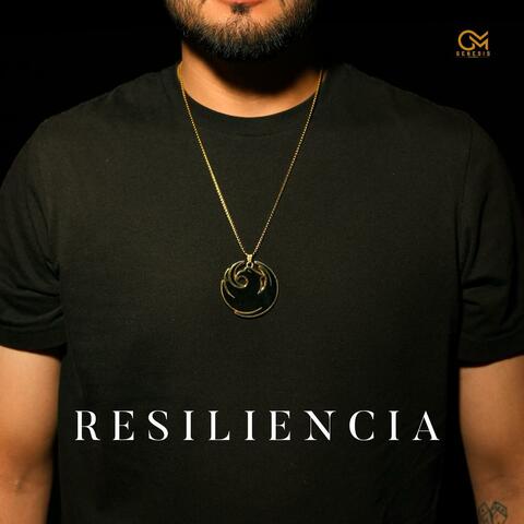 Resiliencia