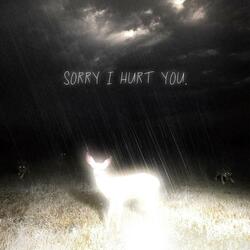 sorry i hurt you.