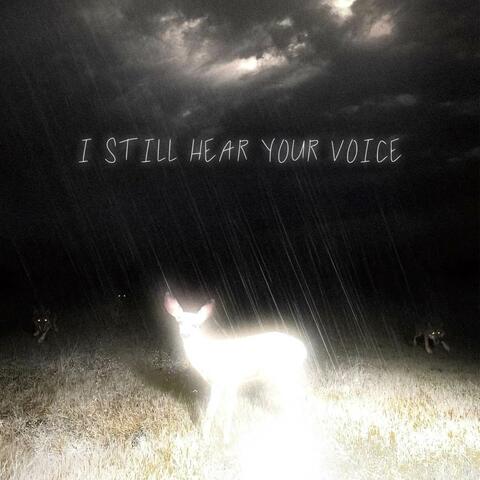 i still hear your voice