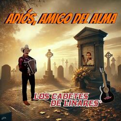 Adiós Amigo Del Alma