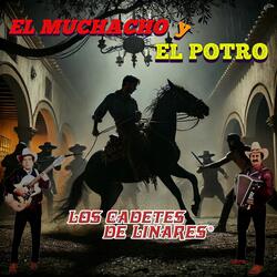 El Muchacho y El Potro