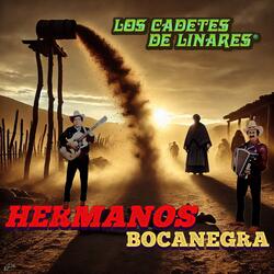 Hermanos Bocanegra