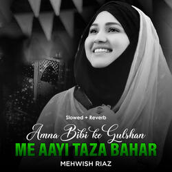 Amna Bibi Ke Gulshan Me Aayi Taza Bahar (Lofi-Mix)