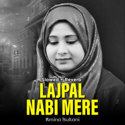 Lajpal Nabi Mere (Lofi-Mix)