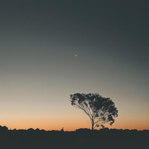 only for a moment