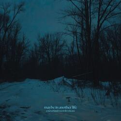 maybe in another life