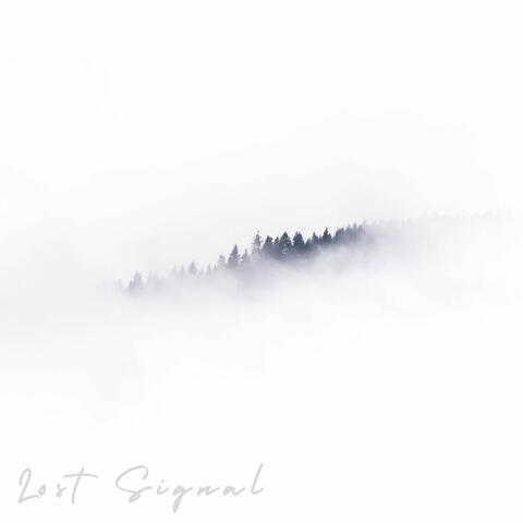 Lost Signal