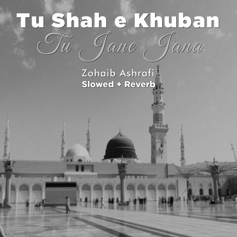 Tu Shah e Khuban Tu Jane Jana (Lofi-Mix)