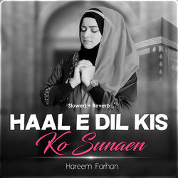 Haal e Dil kis ko Sunaen (Lofi-Mix)