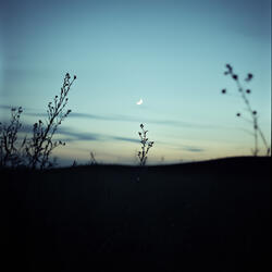 After Dark
