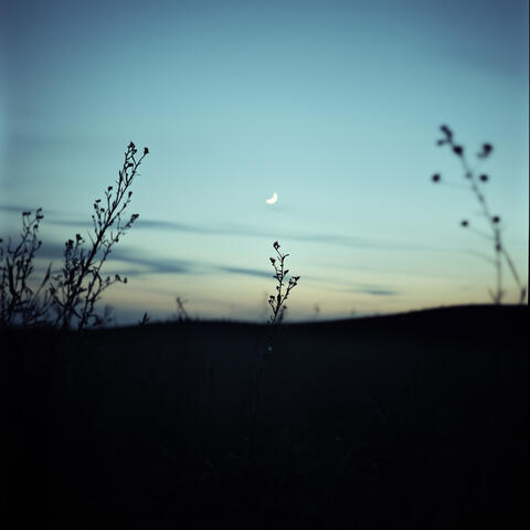 After Dark
