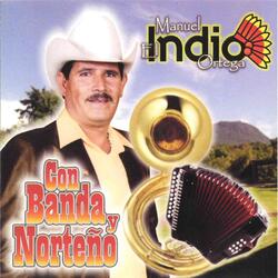 Falsa Traicion ( Banda )