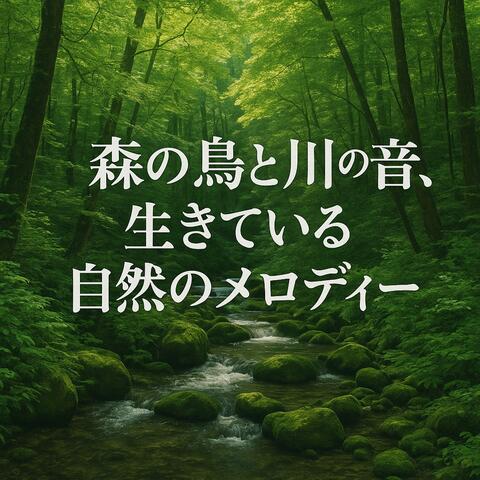 森の鳥と川の音、生きている自然のメロディー