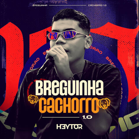 Breguinha Cachorro 1.0