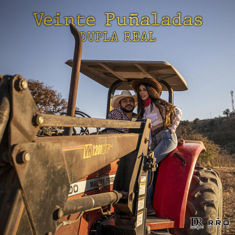 Veinte Puñaladas