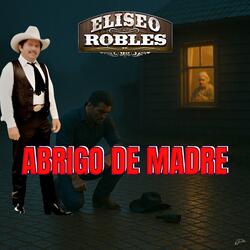 Abrigo De Madre