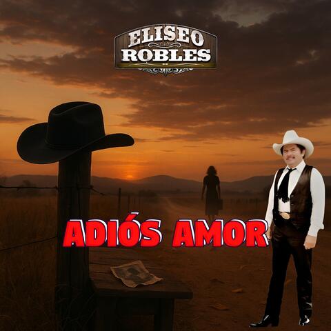 Adiós Amor