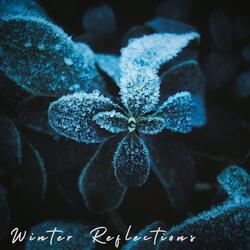 Winter Reflections