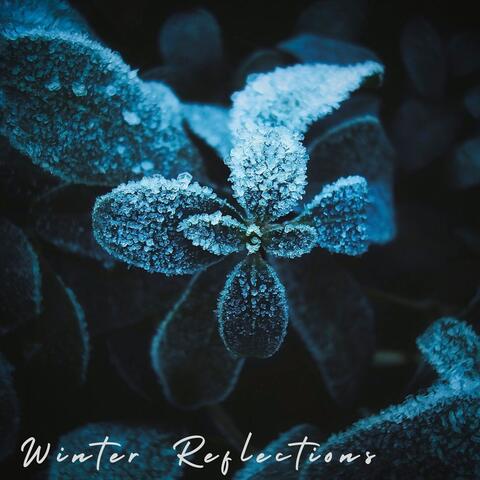 Winter Reflections