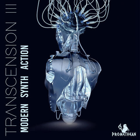 Transcension III