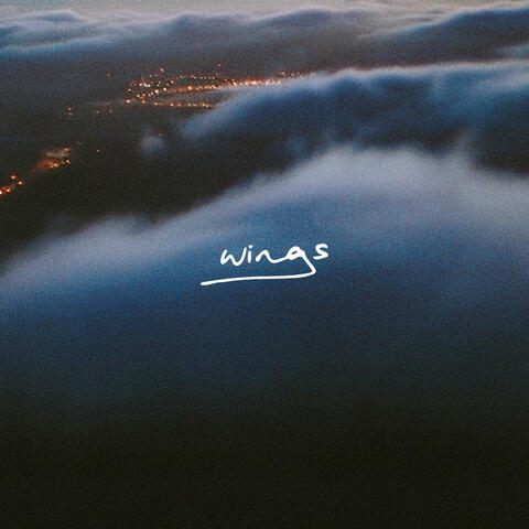 wings