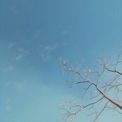 in the air