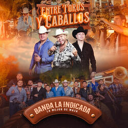 Rumbo a la Higuera