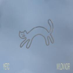 Nylon Noir